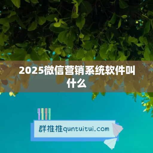 2025微信营销系统软件叫什么