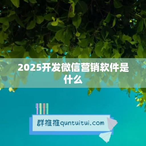 2025开发微信营销软件是什么