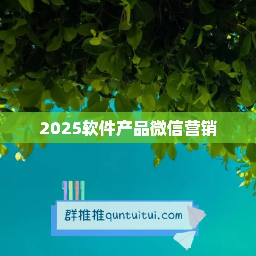 2025软件产品微信营销