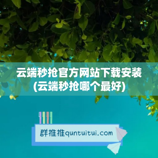 云端秒抢官方网站下载安装(云端秒抢哪个最好)