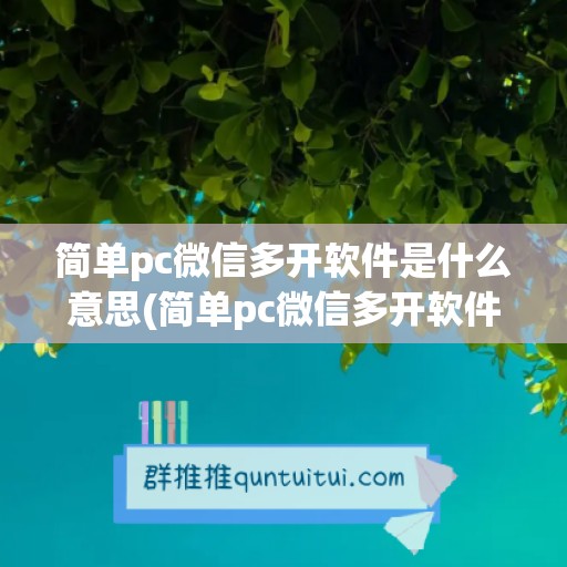 简单pc微信多开软件是什么意思(简单pc微信多开软件是什么意思啊)