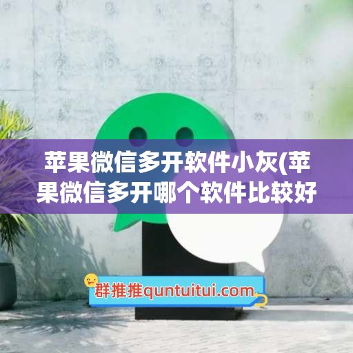 苹果微信多开软件小灰(苹果微信多开哪个软件比较好)