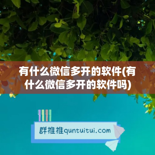 有什么微信多开的软件(有什么微信多开的软件吗)