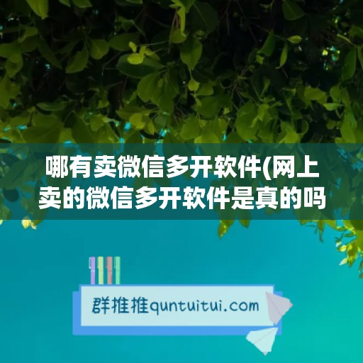 哪有卖微信多开软件(网上卖的微信多开软件是真的吗)