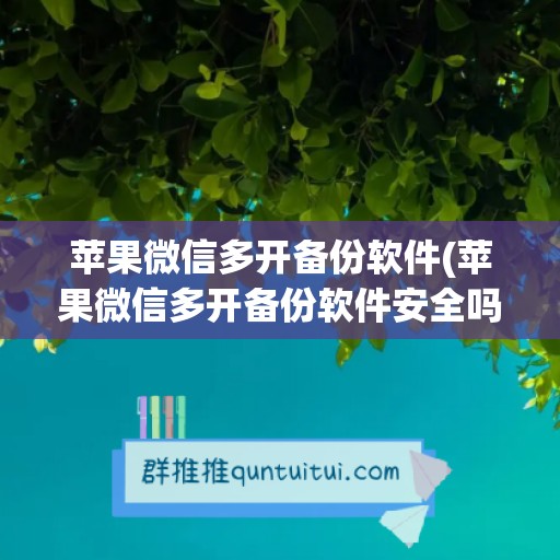 苹果微信多开备份软件(苹果微信多开备份软件安全吗)