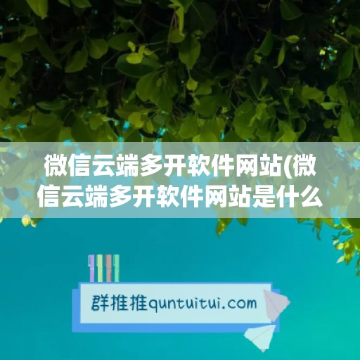 微信云端多开软件网站(微信云端多开软件网站是什么)