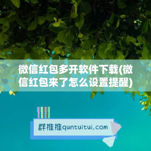 微信红包多开软件下载(微信红包来了怎么设置提醒)