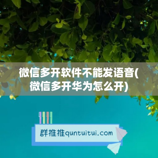 微信多开软件不能发语音(微信多开华为怎么开)