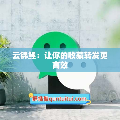 云锦鲤：让你的收藏转发更高效