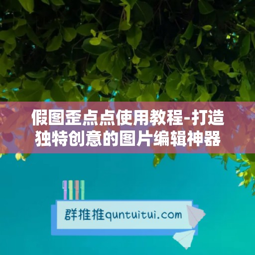 假图歪点点使用教程-打造独特创意的图片编辑神器