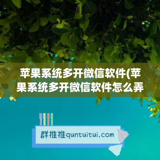 苹果系统多开微信软件(苹果系统多开微信软件怎么弄)