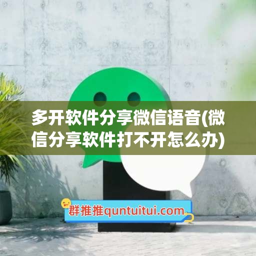 多开软件分享微信语音(微信分享软件打不开怎么办)