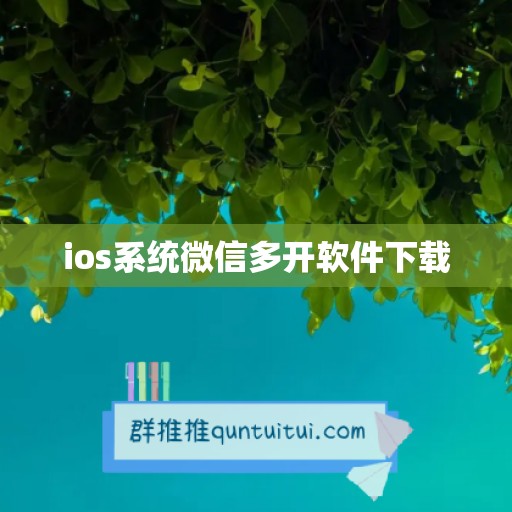 ios系统微信多开软件下载