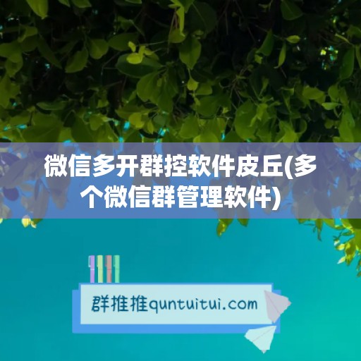 微信多开群控软件皮丘(多个微信群管理软件)