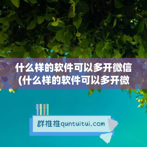 什么样的软件可以多开微信(什么样的软件可以多开微信小程序)