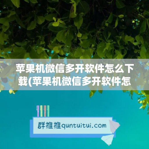 苹果机微信多开软件怎么下载(苹果机微信多开软件怎么下载不了)