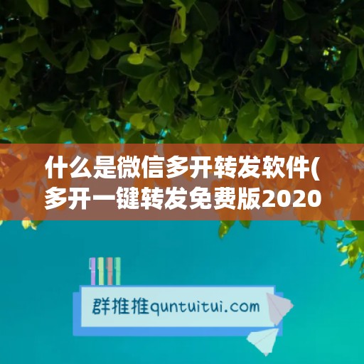 什么是微信多开转发软件(多开一键转发免费版2020)