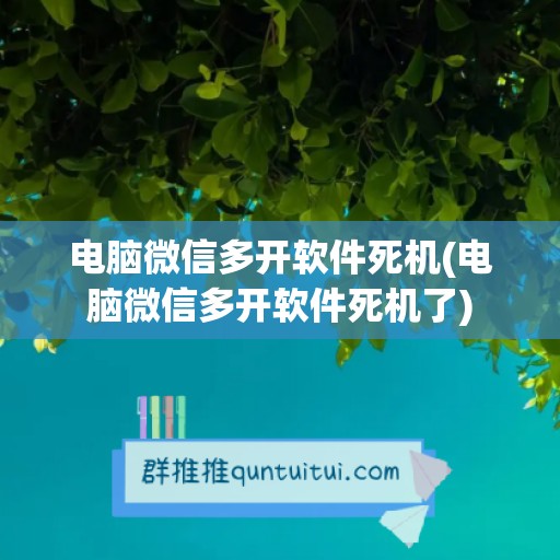 电脑微信多开软件死机(电脑微信多开软件死机了)