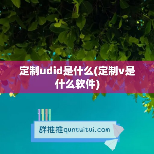 定制udid是什么(定制v是什么软件)