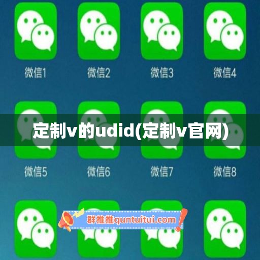 定制v的udid(定制v官网)