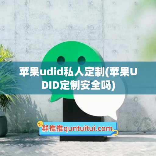 苹果udid私人定制(苹果UDID定制安全吗)