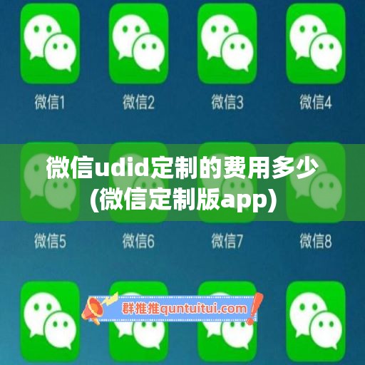 微信udid定制的费用多少(微信定制版app)