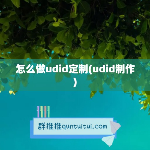 怎么做udid定制(udid制作)