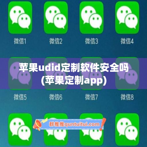 苹果udid定制软件安全吗(苹果定制app)