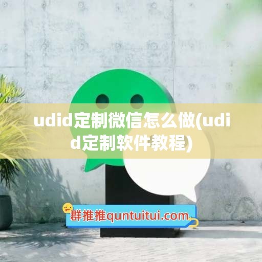 udid定制微信怎么做(udid定制软件教程)