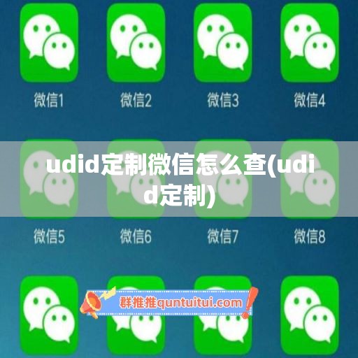 udid定制微信怎么查(udid定制)