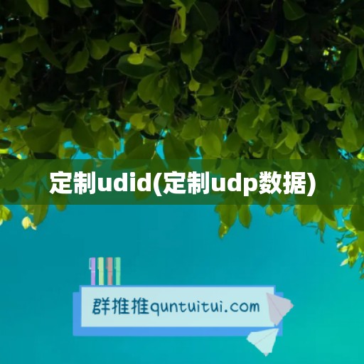 定制udid(定制udp数据)