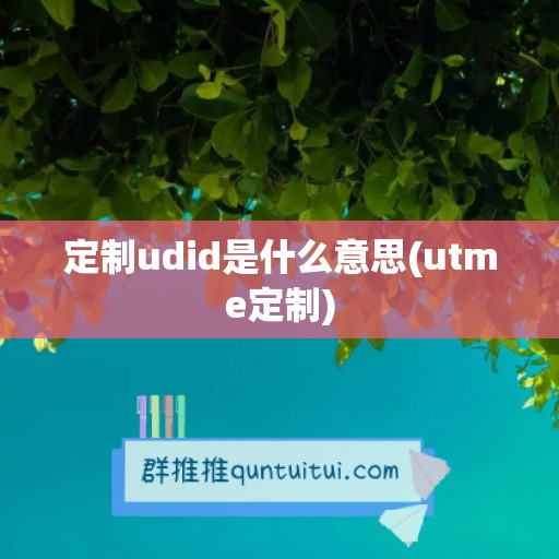 定制udid是什么意思(utme定制)