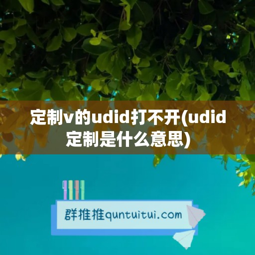 定制v的udid打不开(udid定制是什么意思)