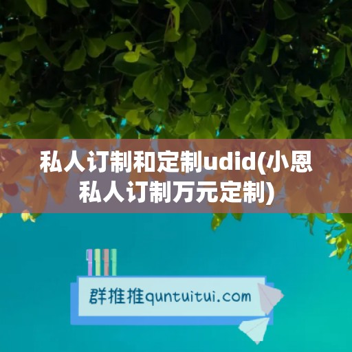 私人订制和定制udid(小恩私人订制万元定制)