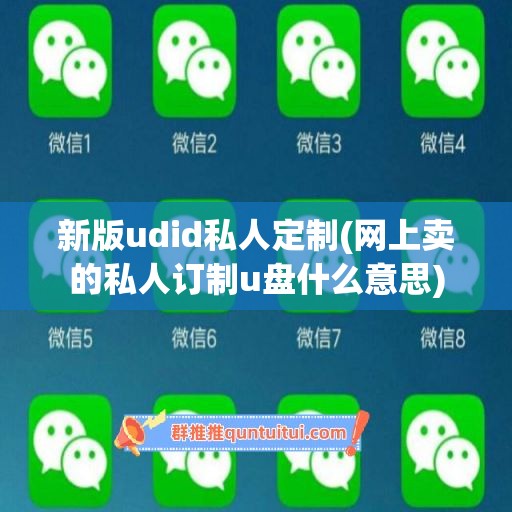 新版udid私人定制(网上卖的私人订制u盘什么意思)