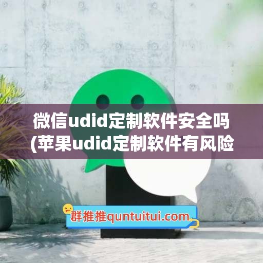 微信udid定制软件安全吗(苹果udid定制软件有风险吗)