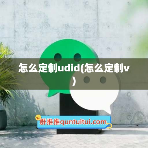 怎么定制udid(怎么定制v)