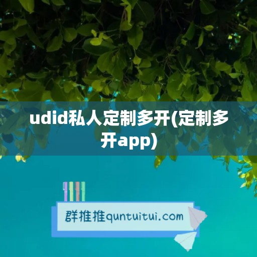 udid私人定制多开(定制多开app)