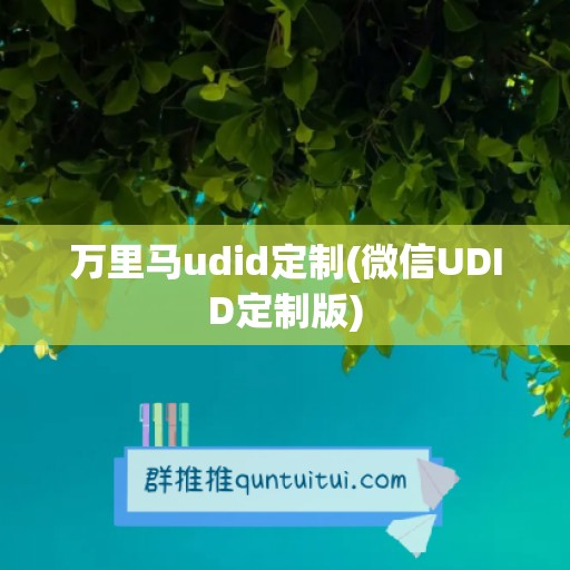 万里马udid定制(微信UDID定制版)