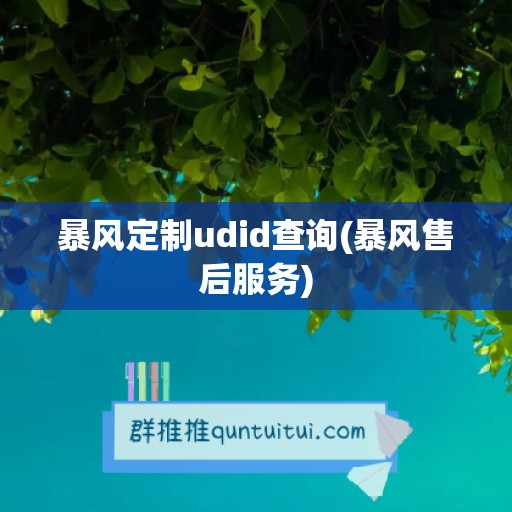 暴风定制udid查询(暴风售后服务)