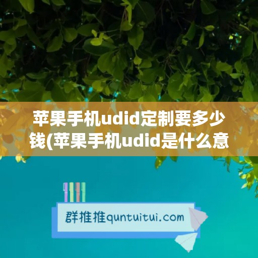 苹果手机udid定制要多少钱(苹果手机udid是什么意思)