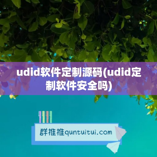 udid软件定制源码(udid定制软件安全吗)