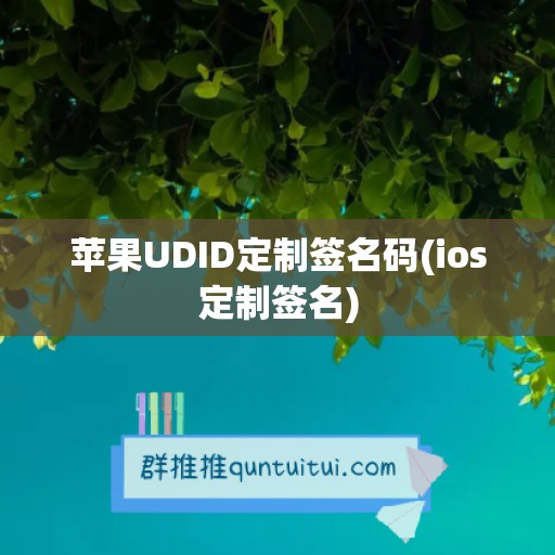 苹果UDID定制签名码(ios定制签名)