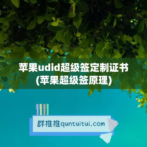 苹果udid超级签定制证书(苹果超级签原理)