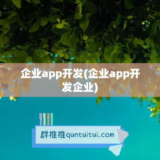 企业app开发(企业app开发企业)