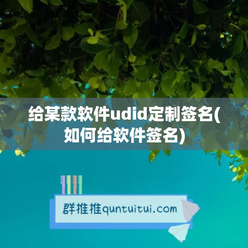 给某款软件udid定制签名(如何给软件签名)