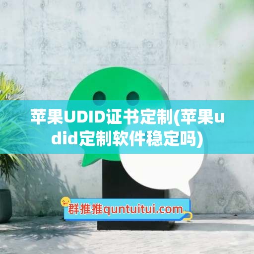 苹果UDID证书定制(苹果udid定制软件稳定吗)