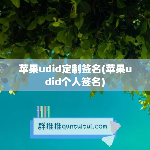 苹果udid定制签名(苹果udid个人签名)