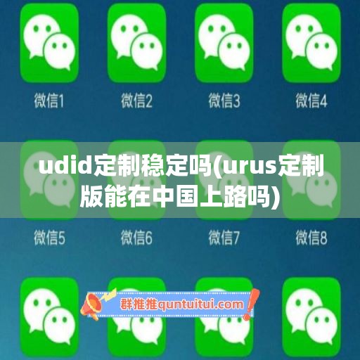 udid定制稳定吗(urus定制版能在中国上路吗)