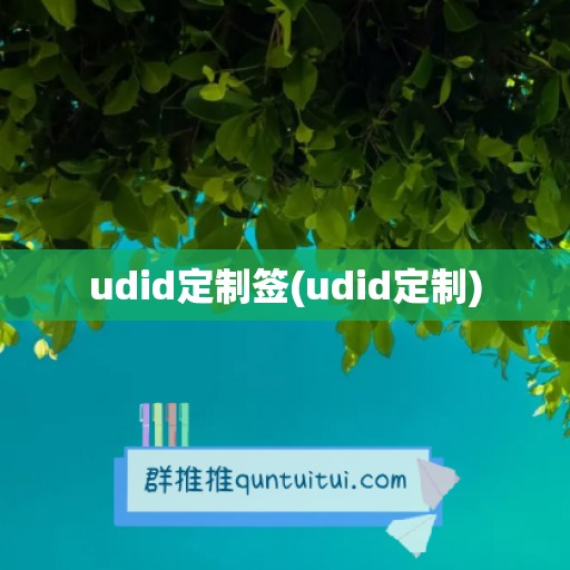 udid定制签(udid定制)